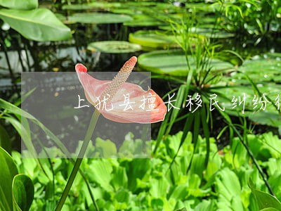上犹县擅长移民纠纷律师 上犹县擅长移民纠纷律师