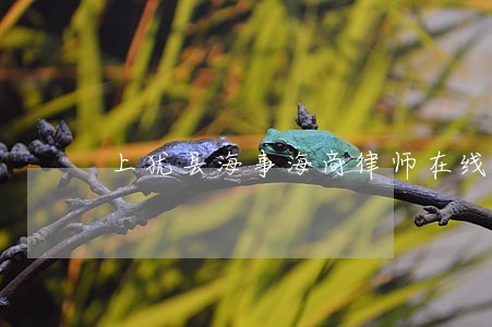 上犹县海事海商律师在线免费咨询 上犹县海事海商律师在线免费咨询