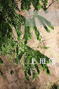 上班信用卡逾期纠纷