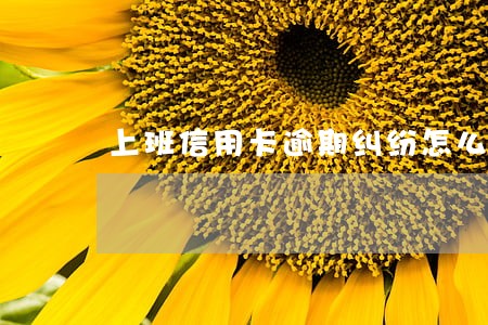 上班信用卡逾期纠纷怎么办