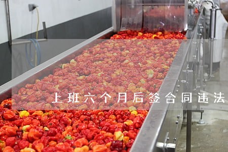上班六个月后签合同违法么 上班六个月后签合同违法么
