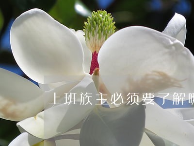 上班族主必须要了解哪些法律常识 上班族主必须要了解哪些法律常识