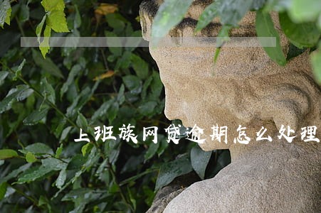 上班族网贷逾期怎么处理 上班族网贷逾期怎么处理
