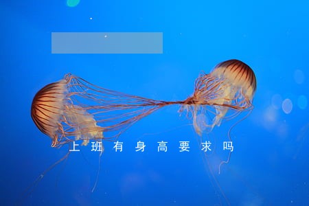 上班有身高要求吗 上班有身高要求吗