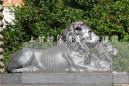 上甘岭区损害赔偿律师 上甘岭区损害赔偿律师