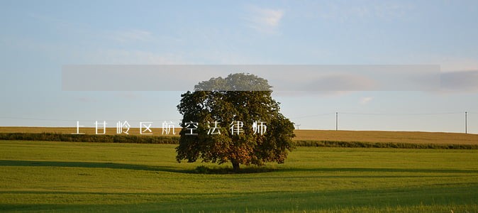上甘岭区航空法律师 上甘岭区航空法律师