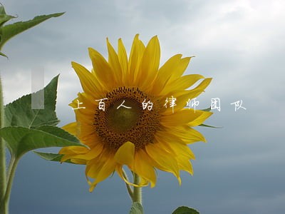 上百人的律师团队 上百人的律师团队