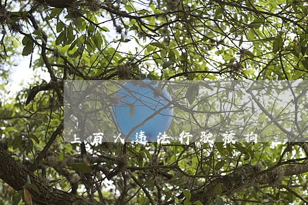 上百人违法行驶被拘 上百人违法行驶被拘