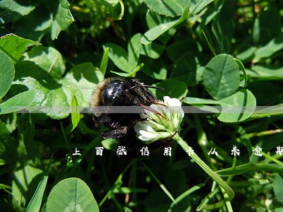 上百张信用卡从未逾期 上百张信用卡从未逾期