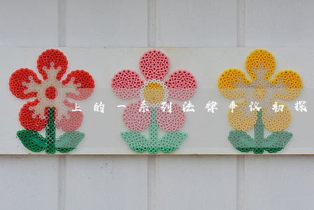 上的一系列法律争议初探 上的一系列法律争议初探