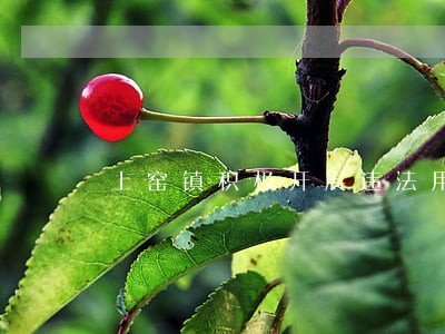 上窑镇积极开展违法用地整改工作 上窑镇积极开展违法用地整改工作