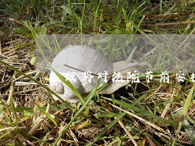 上级将对法院节前安检 上级将对法院节前安检