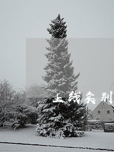 上线卖别墅豪车