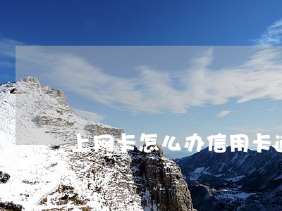 上网卡怎么办信用卡逾期 上网卡怎么办信用卡逾期