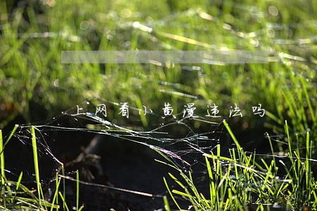 上网看小黄漫违法吗 上网看小黄漫违法吗