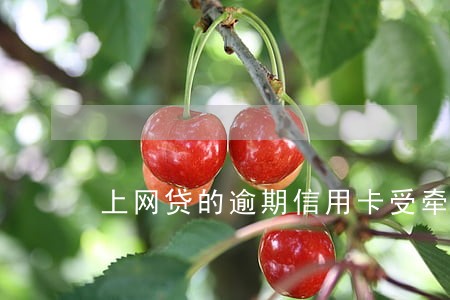 上网贷的逾期信用卡受牵连 上网贷的逾期信用卡受牵连