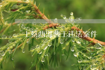 上蔡西洪曹王违法案件 上蔡西洪曹王违法案件