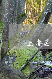 上虞区丰惠镇涉外离婚律师 上虞区丰惠镇涉外离婚律师
