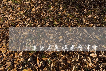 上虞区丰惠镇离婚律师 上虞区丰惠镇离婚律师