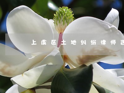 上虞区土地纠纷律师咨询电话 上虞区土地纠纷律师咨询电话