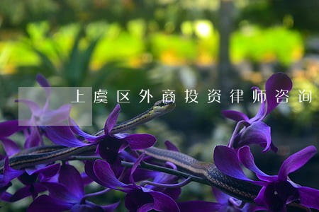 上虞区外商投资律师咨询电话 上虞区外商投资律师咨询电话