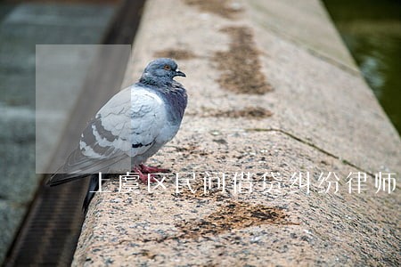 上虞区民间借贷纠纷律师在线咨询 上虞区民间借贷纠纷律师在线咨询
