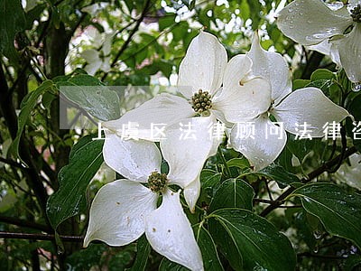 上虞区法律顾问法律咨询热线 上虞区法律顾问法律咨询热线