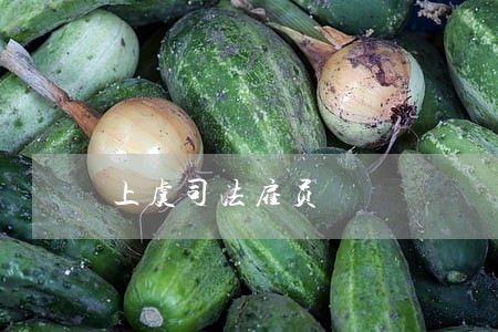 上虞司法雇员 上虞司法雇员