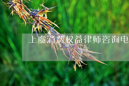 上虞消费权益律师咨询电话 上虞消费权益律师咨询电话