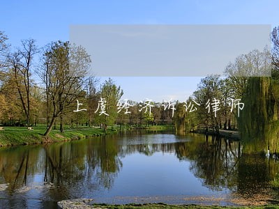 上虞经济诉讼律师 上虞经济诉讼律师