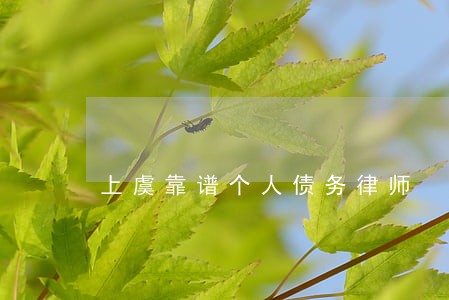 上虞靠谱个人债务律师