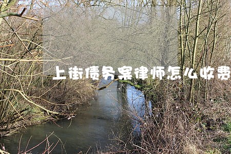 上街债务案律师怎么收费 上街债务案律师怎么收费