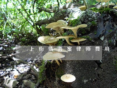 上街债务案律师费用