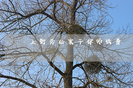 上街劳动案子律师收费 上街劳动案子律师收费