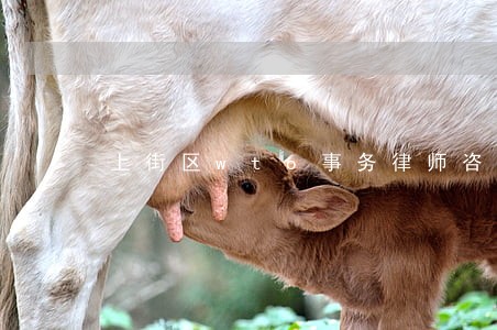 上街区wto事务律师咨询电话 上街区wto事务律师咨询电话