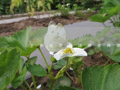上街区企业法律咨询律师 上街区企业法律咨询律师