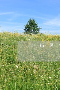 上街区企业法律顾问