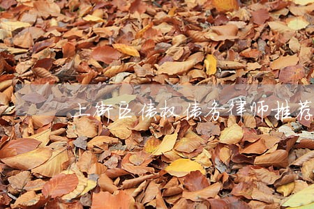 上街区债权债务律师推荐 上街区债权债务律师推荐