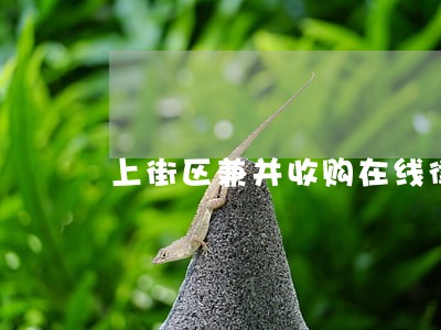 上街区兼并收购在线律师 上街区兼并收购在线律师