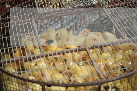 上街区刑事案件律师在线咨询 上街区刑事案件律师在线咨询