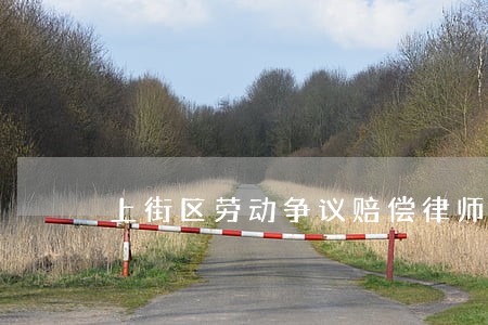 上街区劳动争议赔偿律师 上街区劳动争议赔偿律师