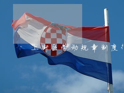 上街区劳动规章制度律师 上街区劳动规章制度律师