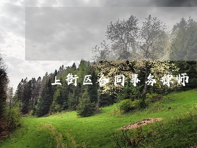 上街区合同事务律师