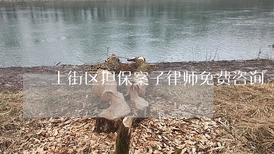 上街区担保案子律师免费咨询 上街区担保案子律师免费咨询