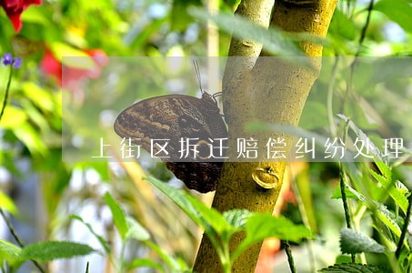 上街区拆迁赔偿纠纷处理律师 上街区拆迁赔偿纠纷处理律师