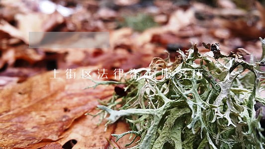 上街区法律咨询服务所 上街区法律咨询服务所