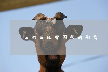 上街区法律顾问的职责 上街区法律顾问的职责