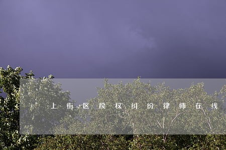 上街区股权纠纷律师在线免费咨询
