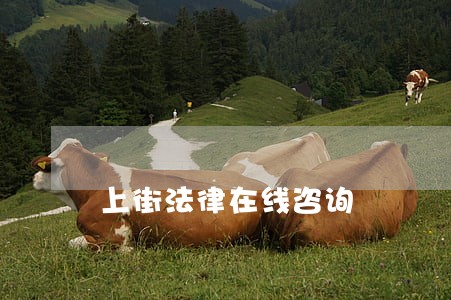 上街法律在线咨询 上街法律在线咨询