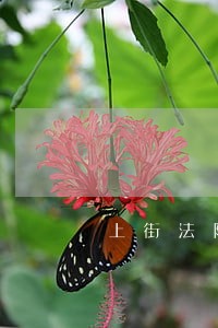 上街法院王宁 上街法院王宁